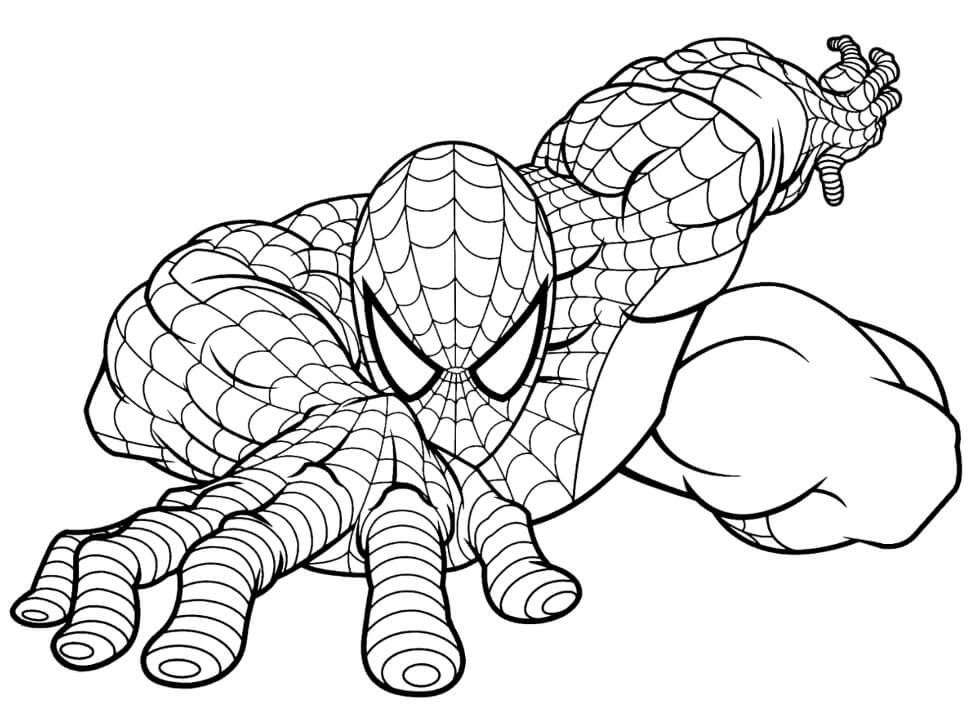 Spiderman Ausmalbilder 577