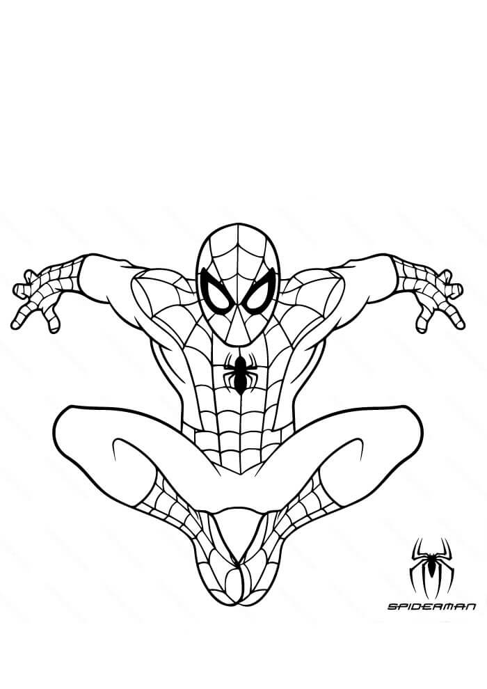 Spiderman Ausmalbilder 665