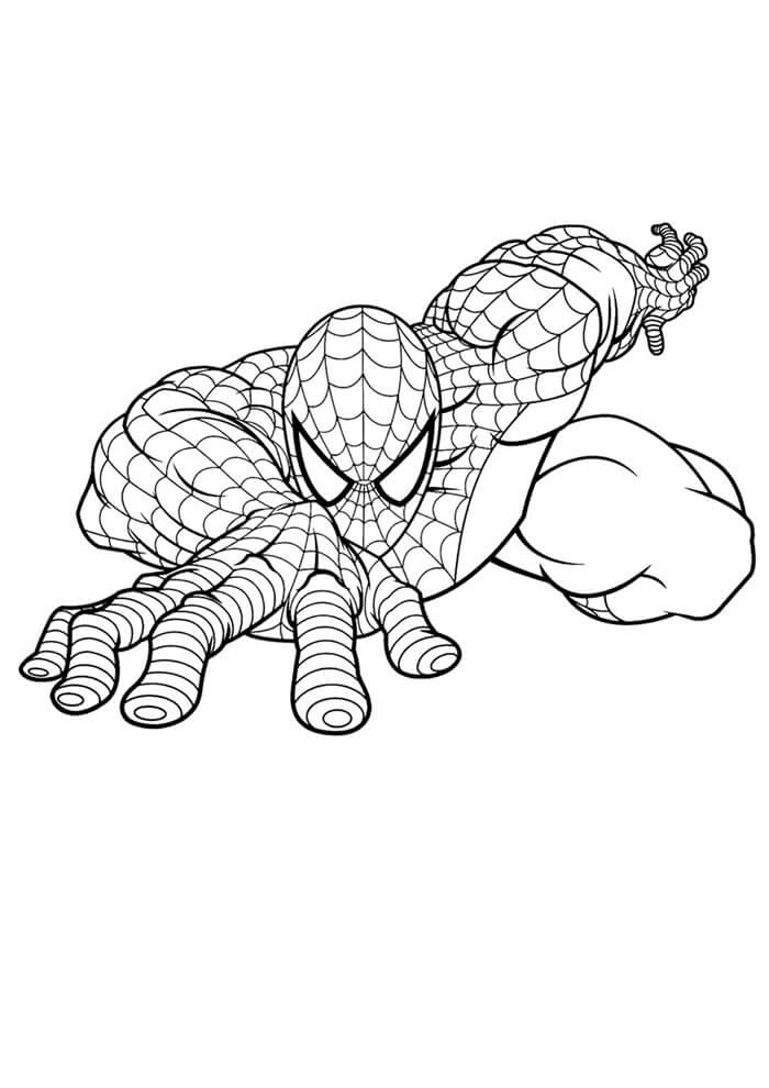 Spiderman Ausmalbilder 696