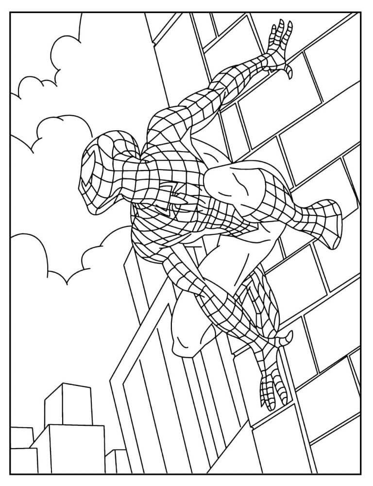 Spiderman Ausmalbilder 735