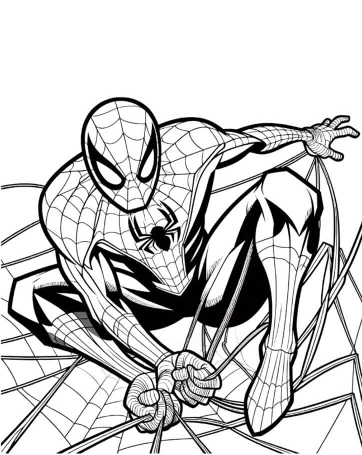 Spiderman Ausmalbilder 754