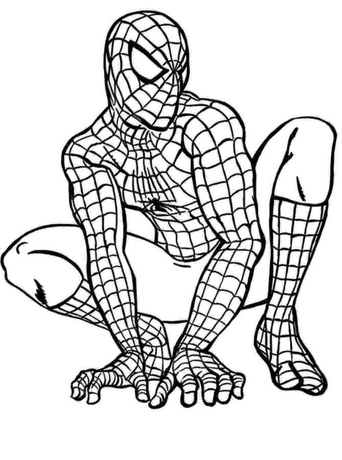Spiderman Ausmalbilder 776