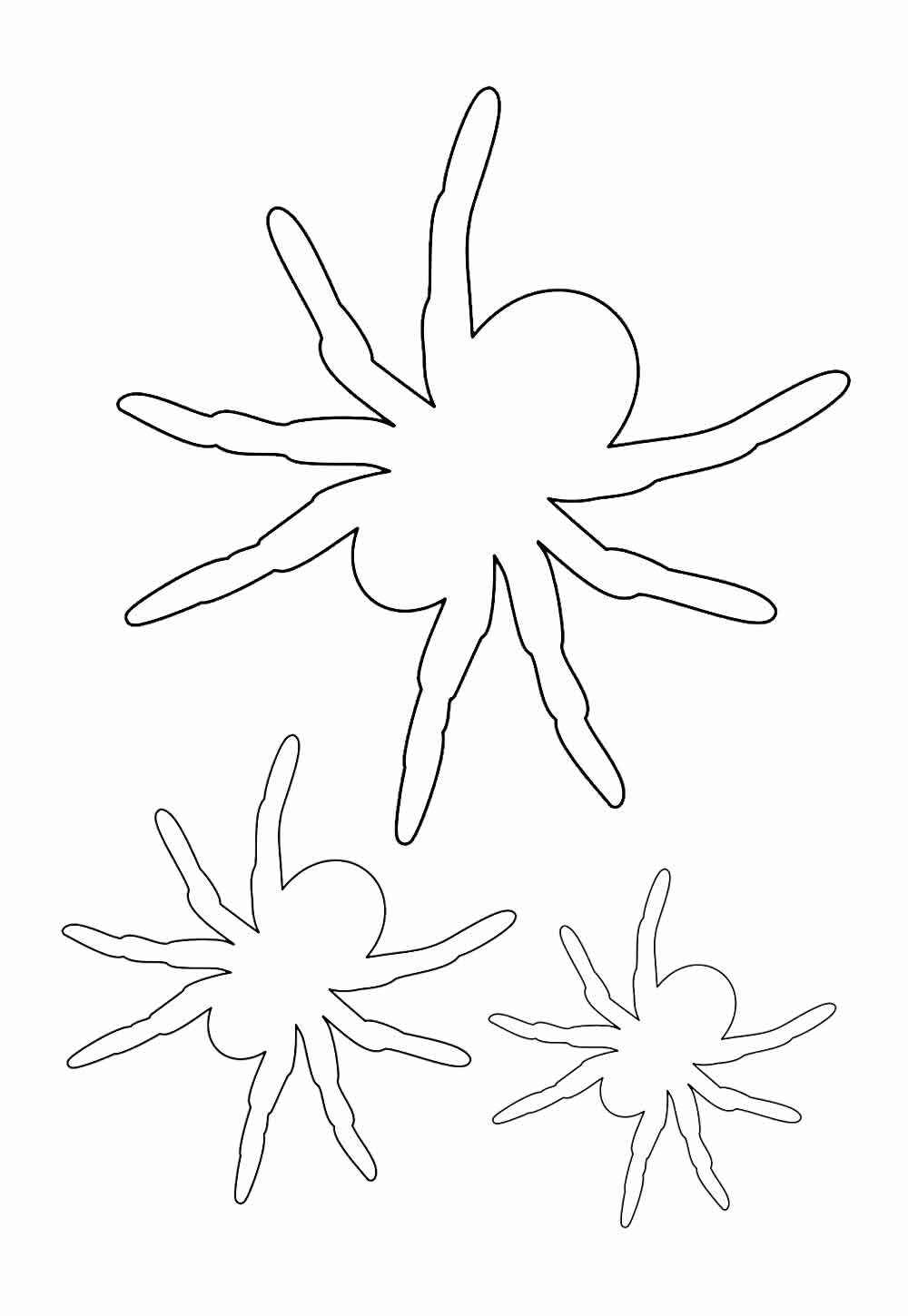 Spinnen Ausmalbilder 769