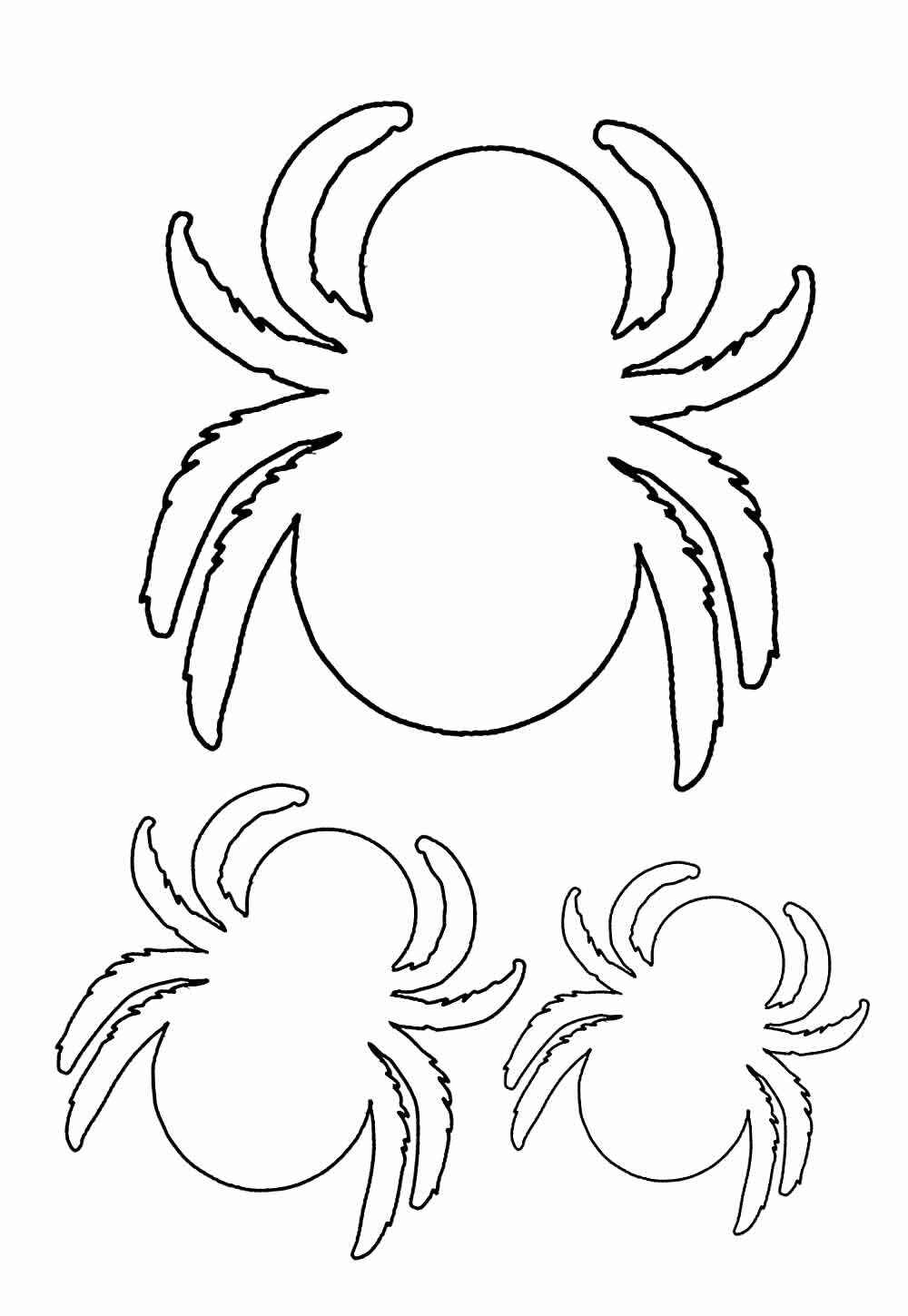 Spinnen Ausmalbilder 838