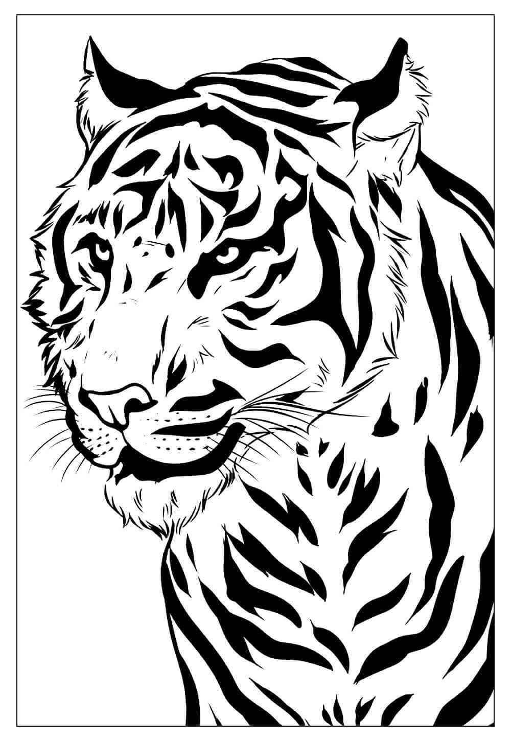 Tiger Ausmalbilder 316