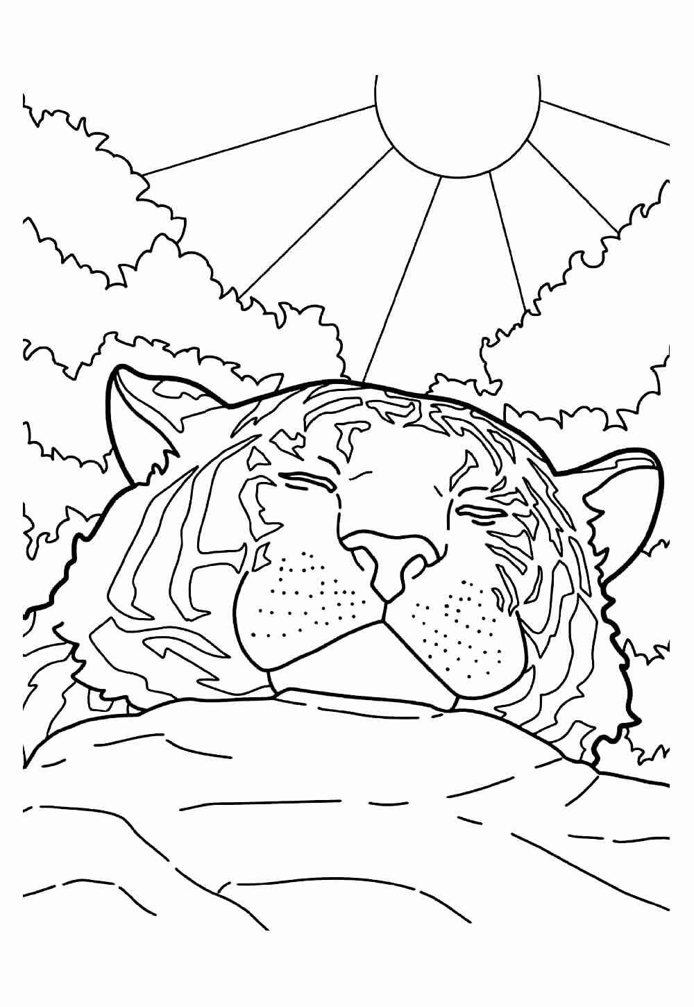 Tiger Ausmalbilder 510