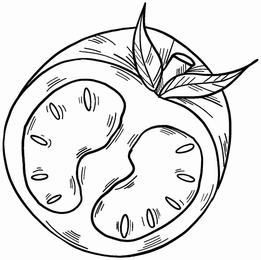 Tomate Ausmalbilder 548