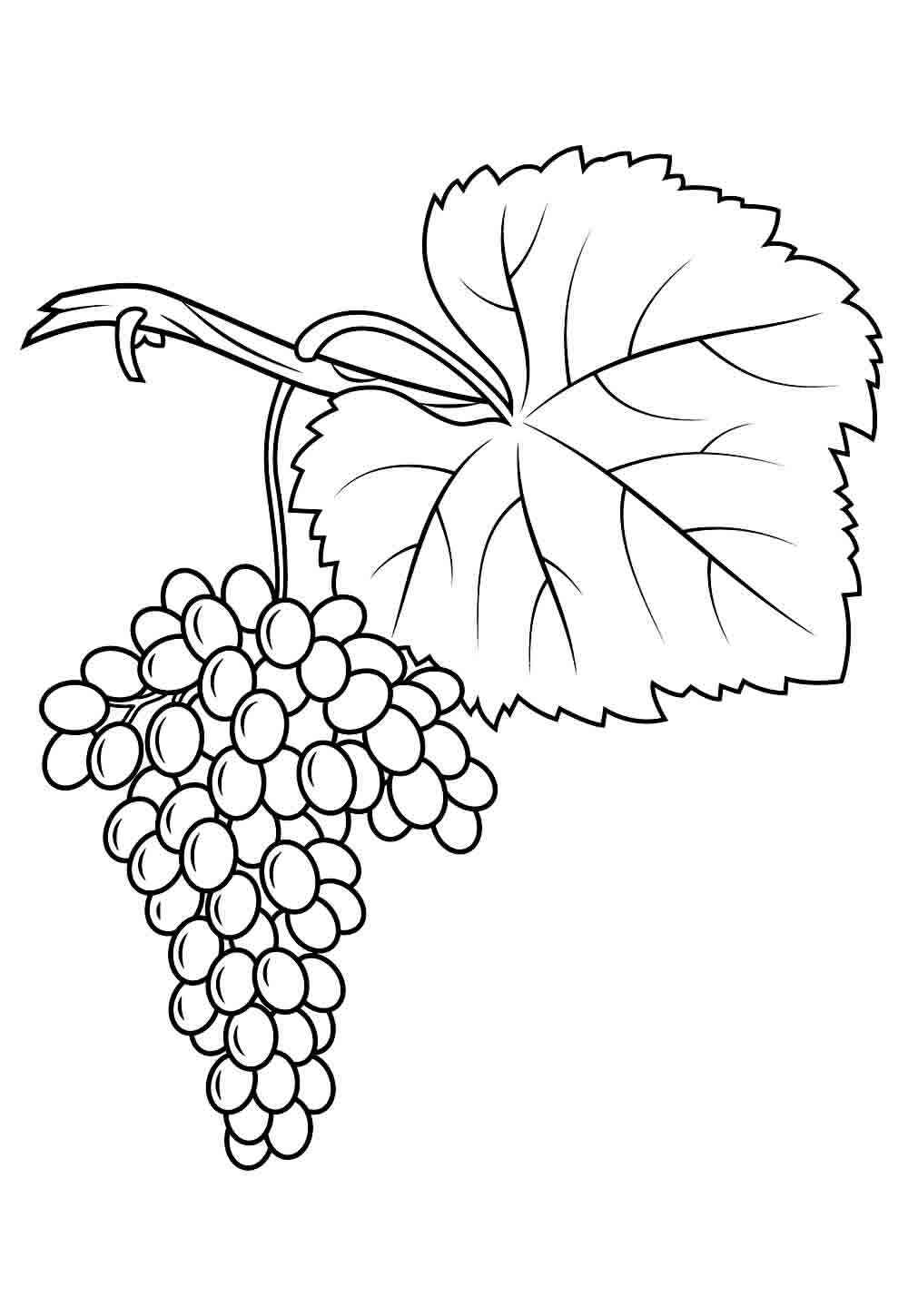 Trauben Ausmalbilder 226