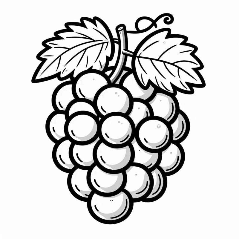 Trauben Ausmalbilder 381