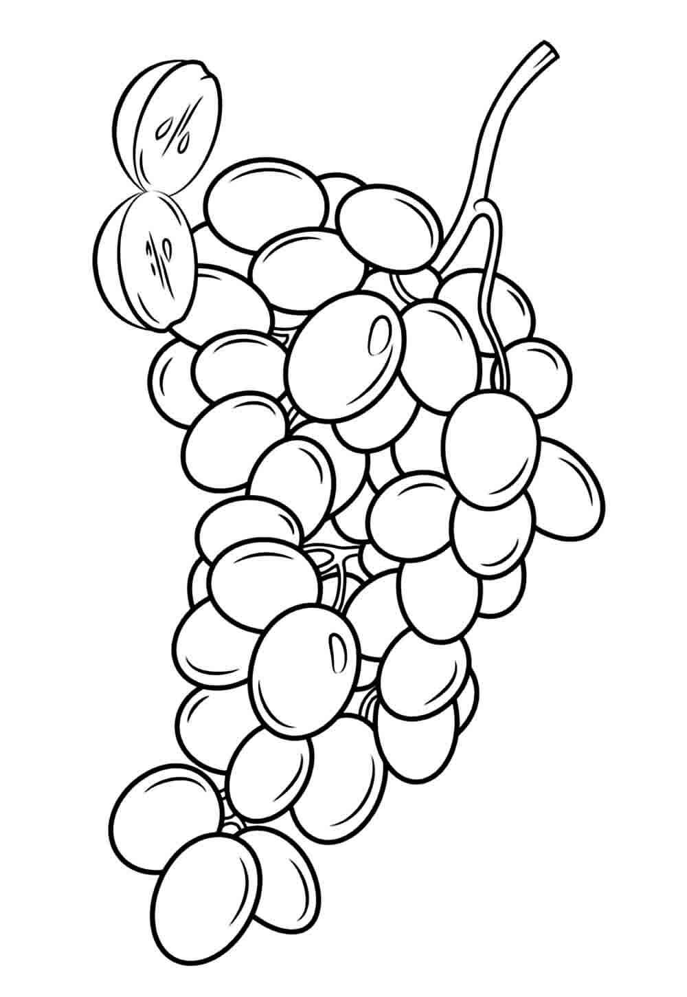 Trauben Ausmalbilder 760