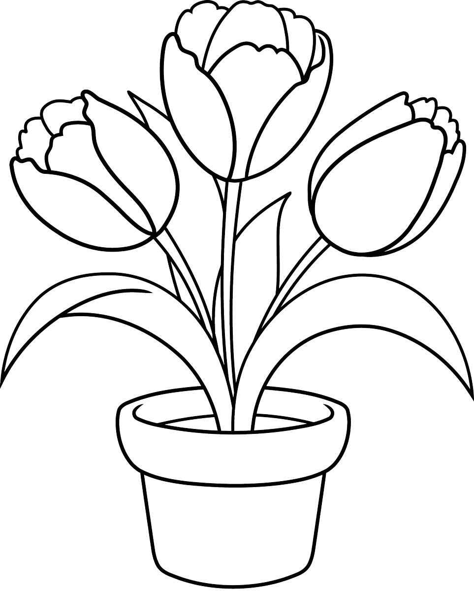 Tulpe Ausmalbilder 002