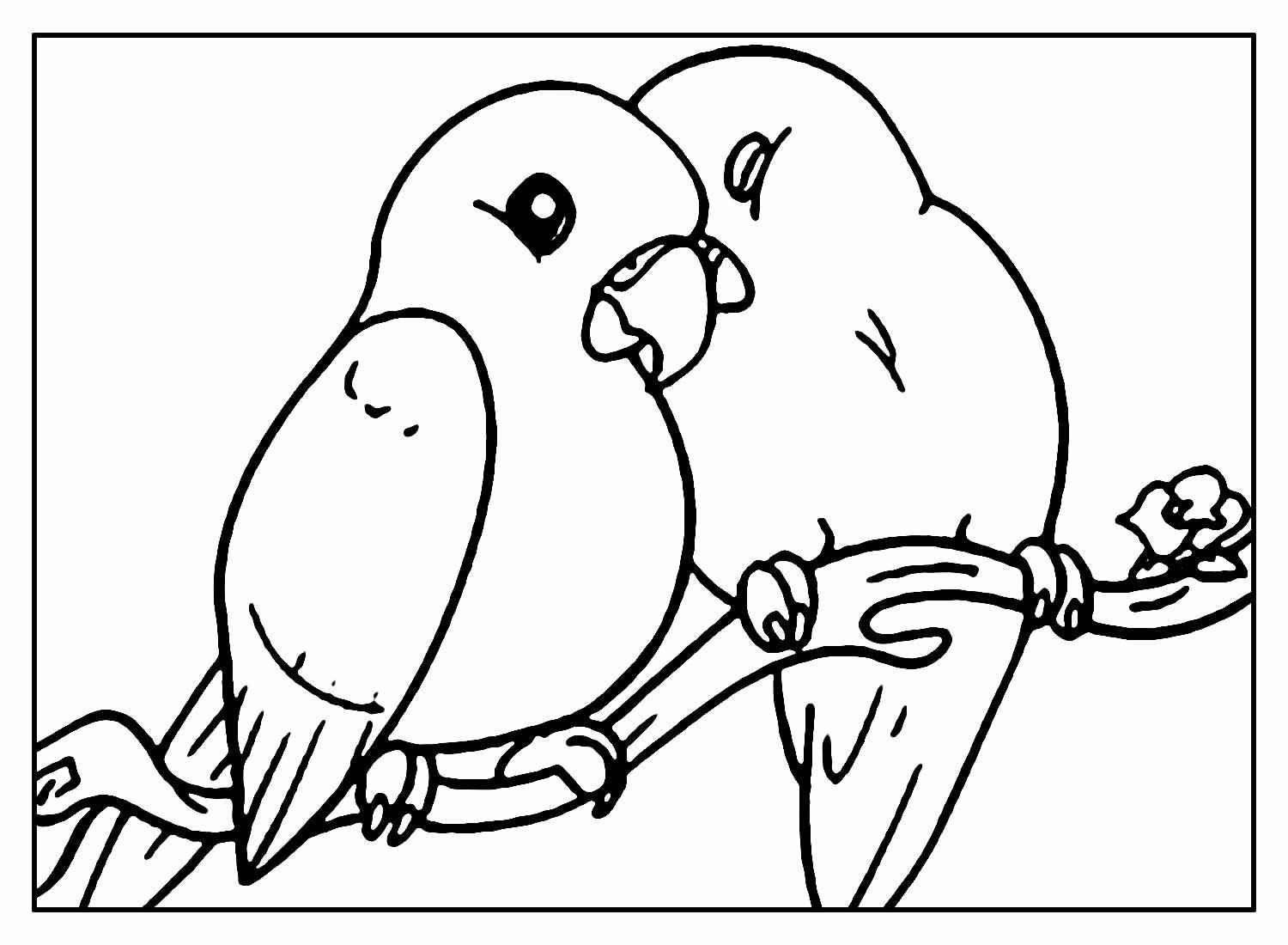 Vögel Ausmalbilder 025