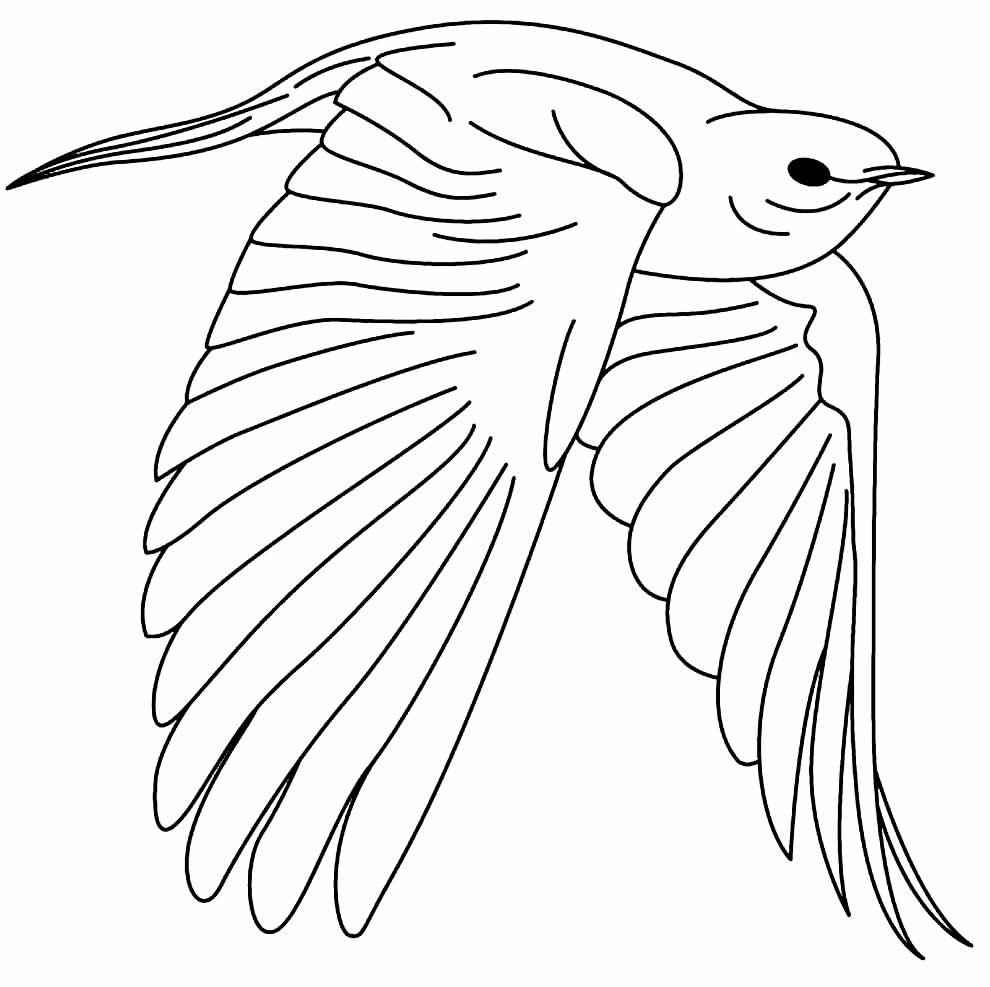 Vögel Ausmalbilder 144