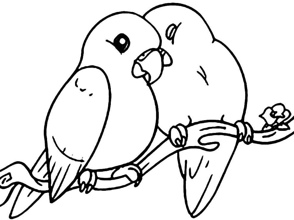 Vögel Ausmalbilder 236