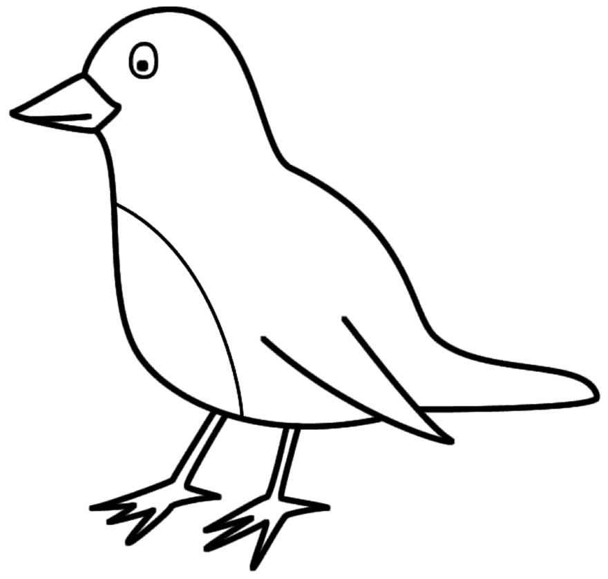 Vögel Ausmalbilder 384