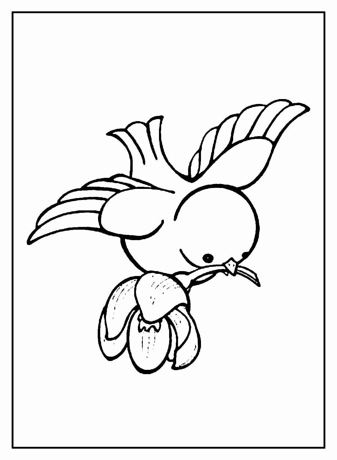 Vögel Ausmalbilder 397