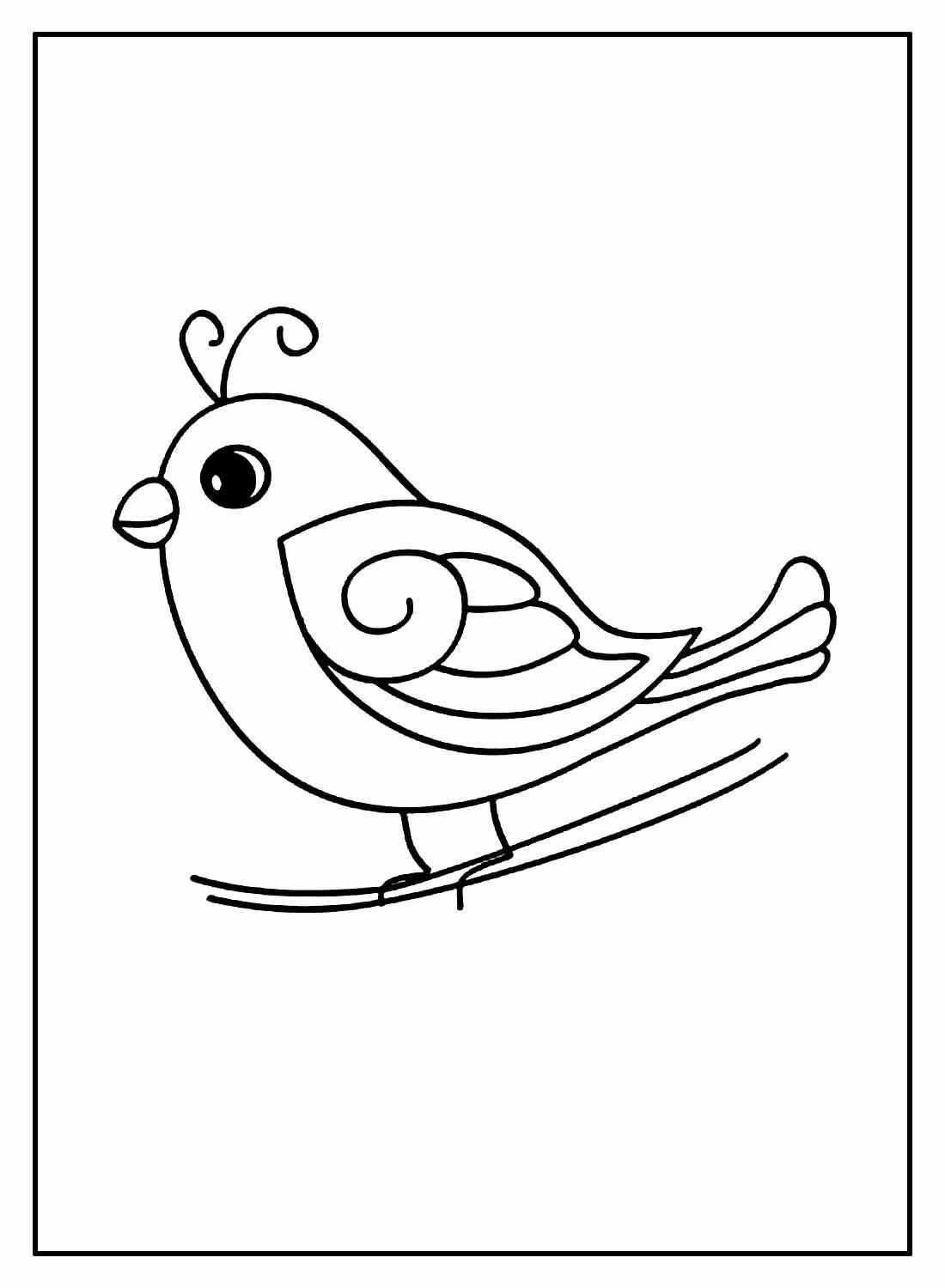 Vögel Ausmalbilder 724