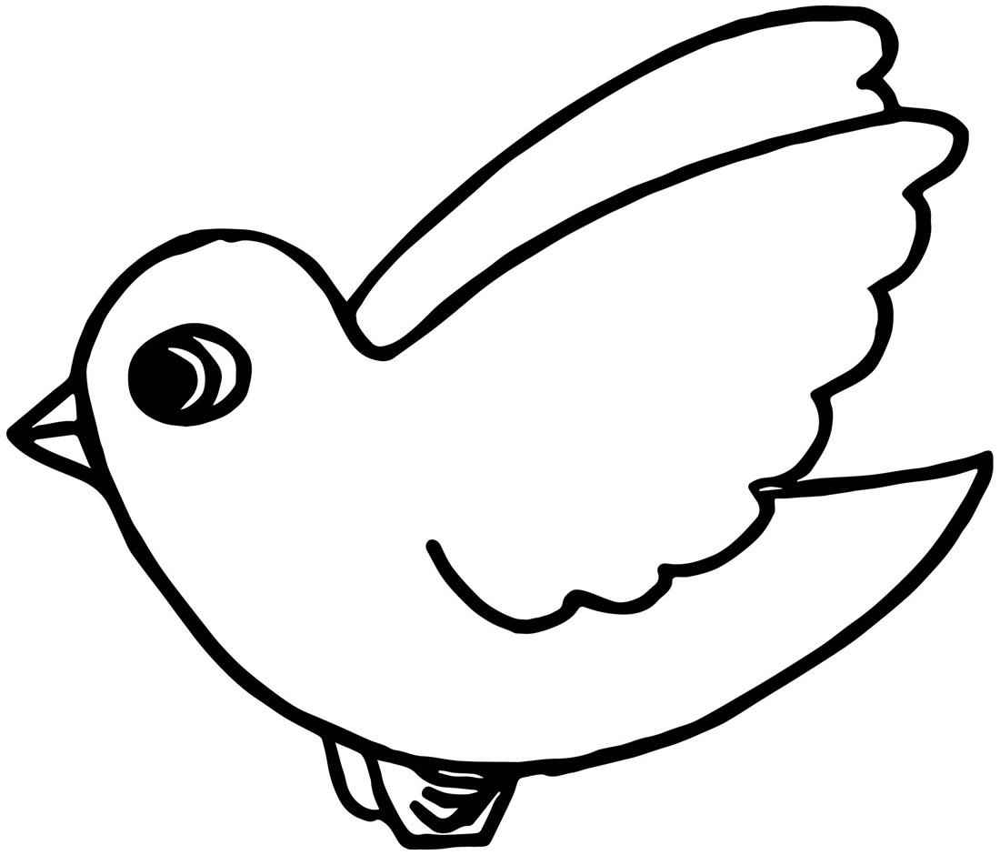 Vögel Ausmalbilder 727