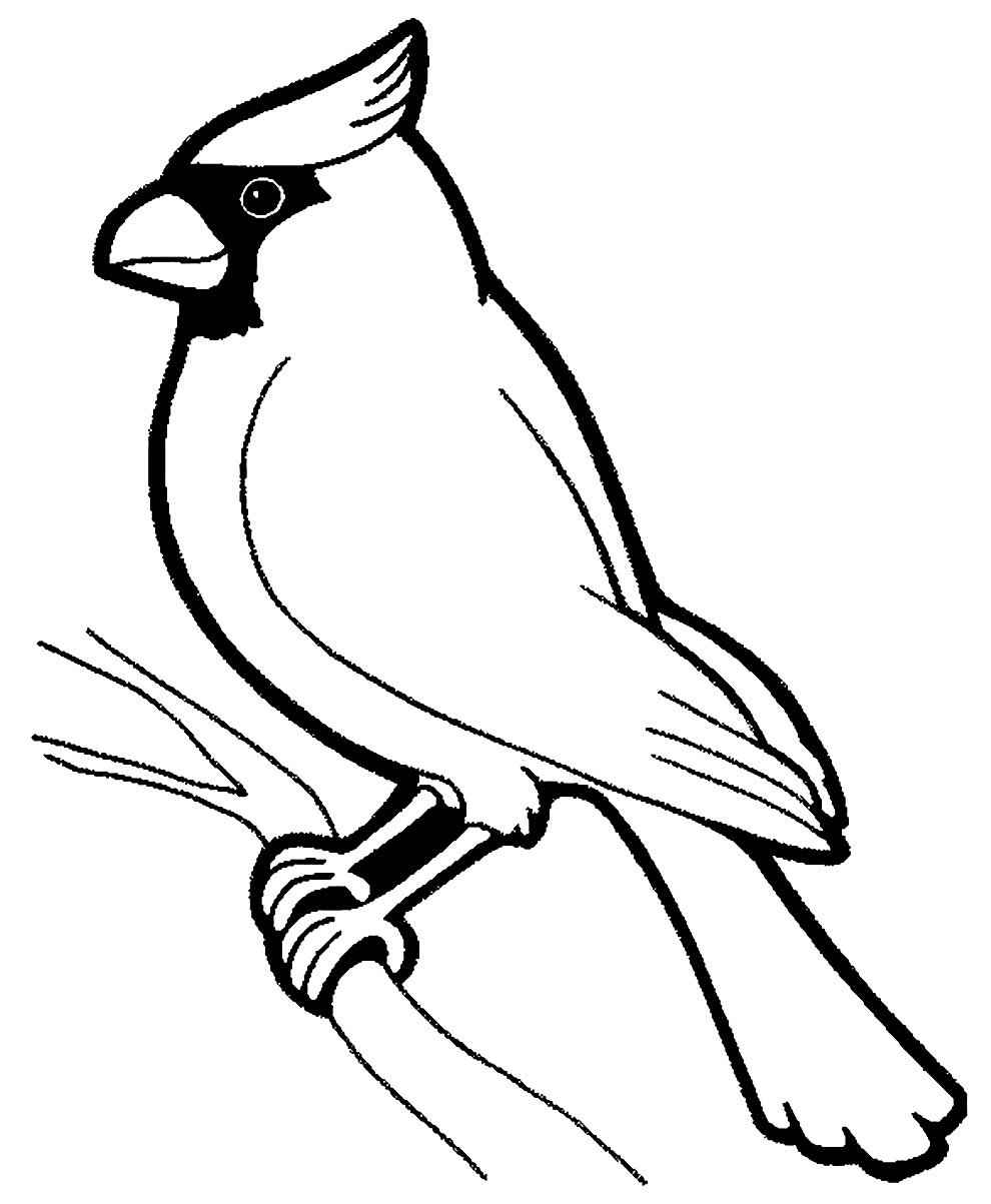 Vögel Ausmalbilder 876