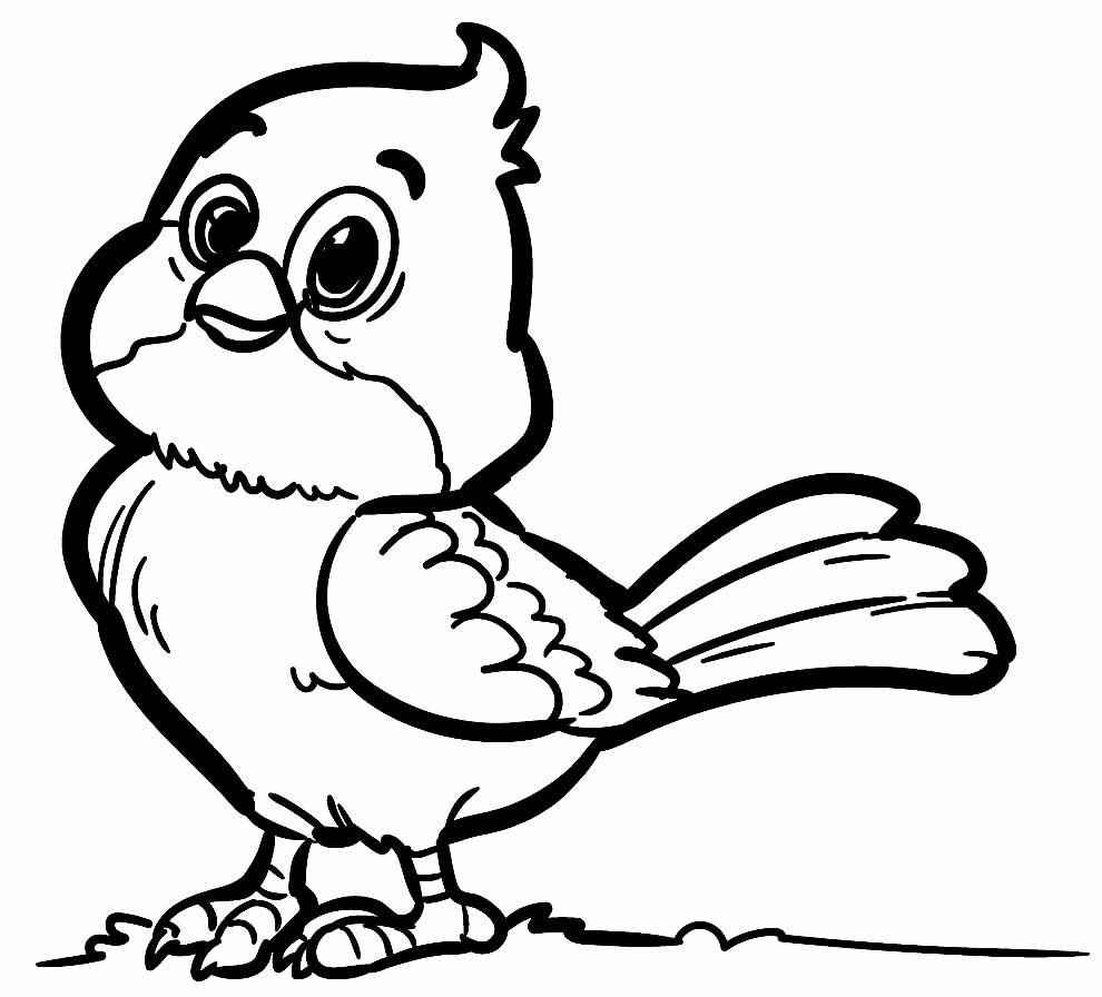 Vögel Ausmalbilder 904