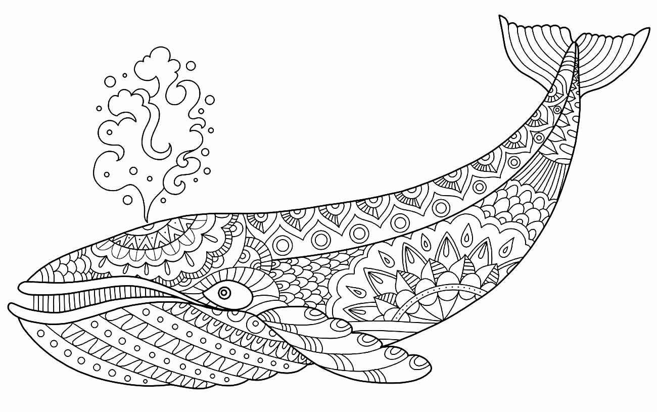 Wale Ausmalbilder 526