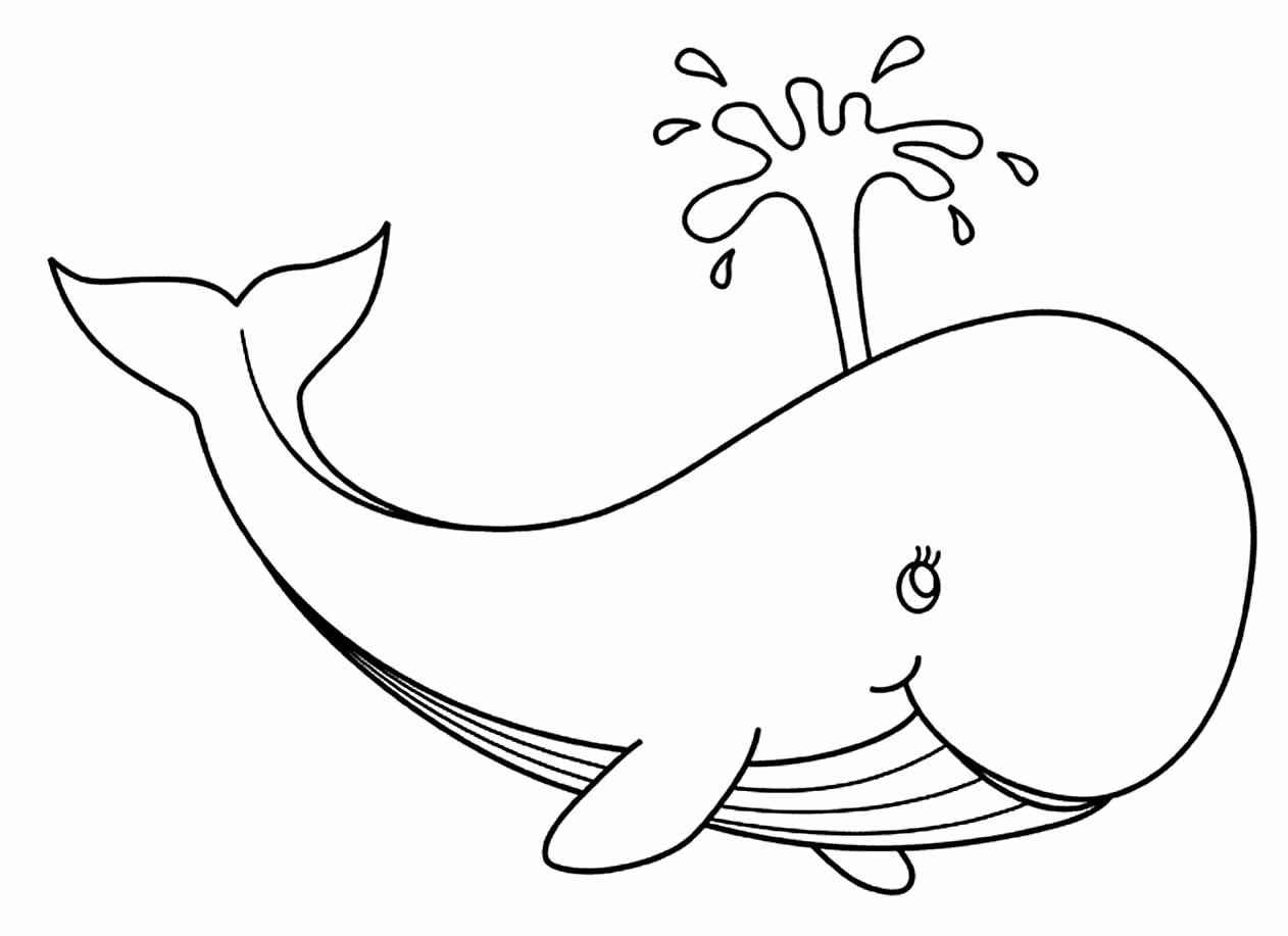 Wale Ausmalbilder 927