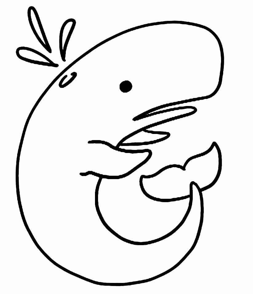 Wale Ausmalbilder 956