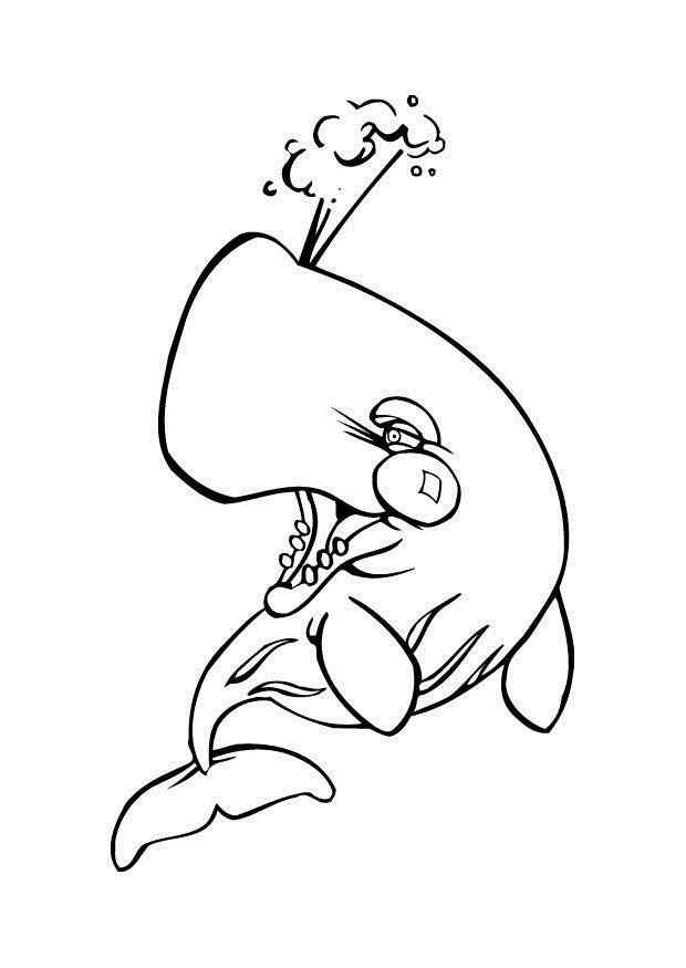 Wale Ausmalbilder 961