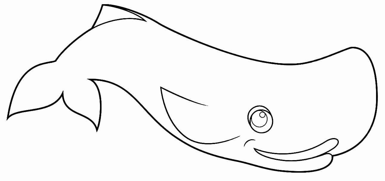 Wale Ausmalbilder 996