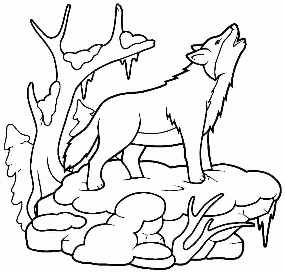 Wolf Ausmalbilder 067