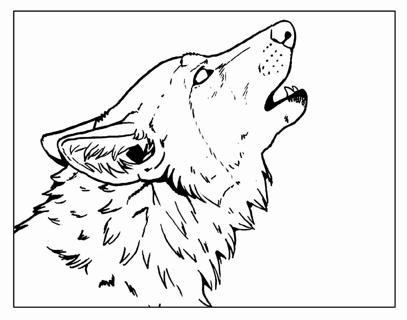 Wolf Ausmalbilder 167