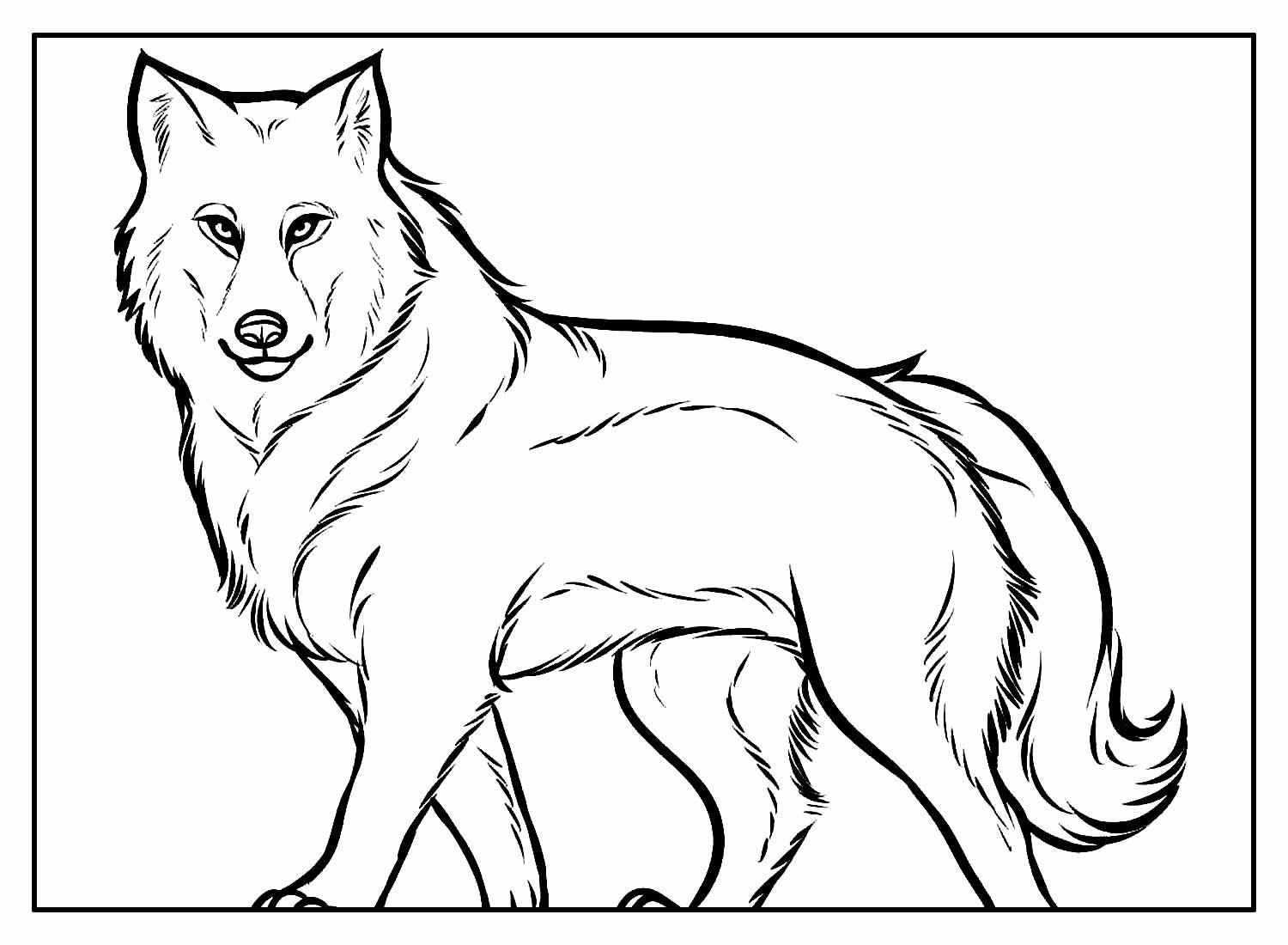 Wolf Ausmalbilder 375