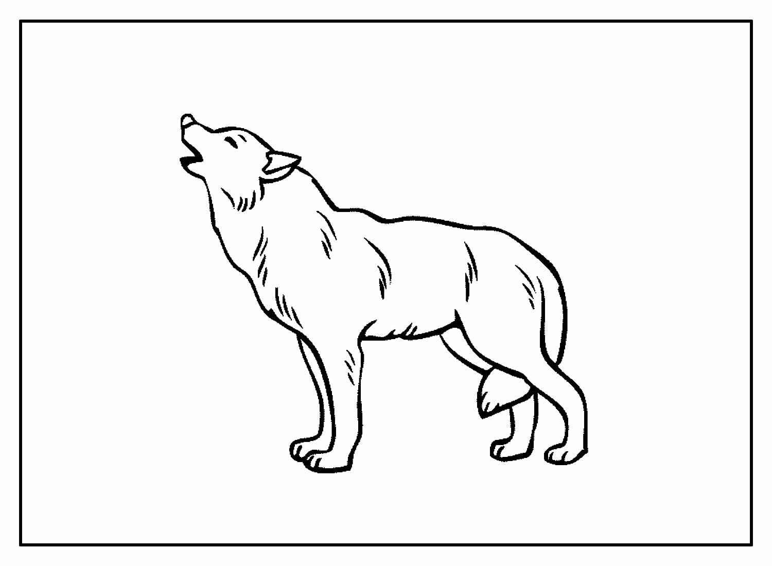 Wolf Ausmalbilder 610