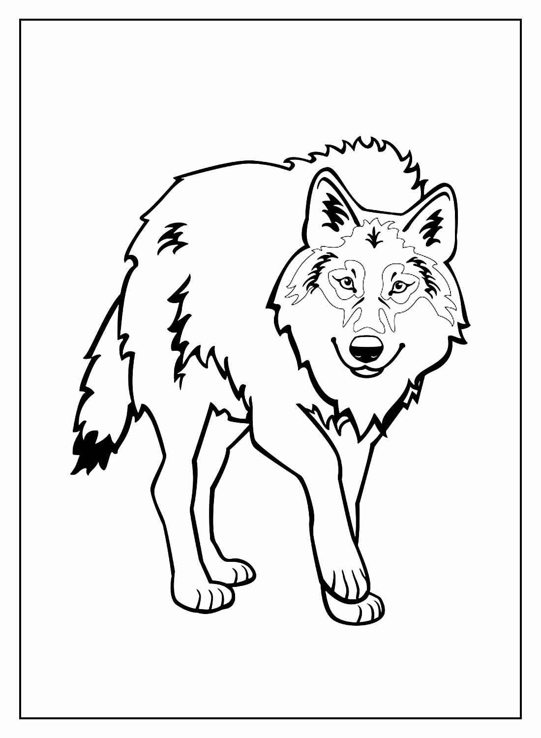 Wolf Ausmalbilder 800